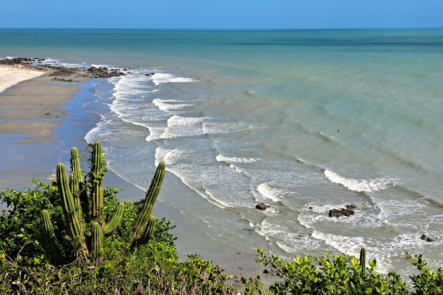 A imagem mostra uma cena costeira com uma praia de areia e ondas quebrando suavemente na costa. A água tem um gradiente de tons de azul e verde, indicando diferentes profundidades. No primeiro plano, há vários cactos e outras vegetações, sugerindo que a praia está em uma região com clima seco. A linha da costa curva-se suavemente e há algumas rochas espalhadas pela praia e na água. O céu está claro e azul, indicando bom tempo.