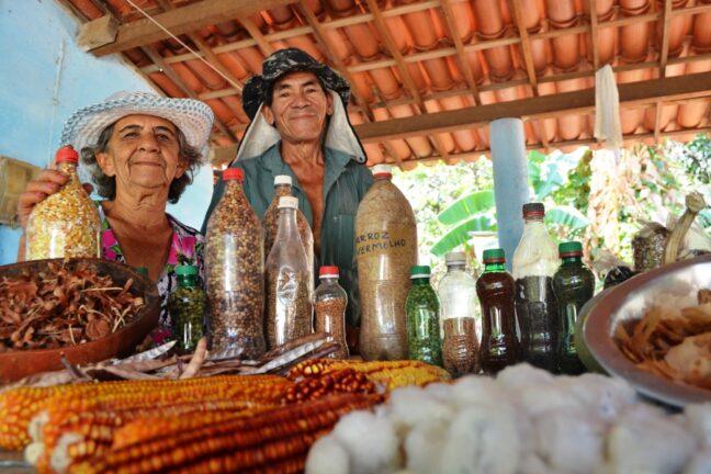 A imagem retrata casal de agricultores familiares em um ambiente rural, embaixo de um telhado de telhas vermelhas. Eles estão sorrindo e posicionados atrás de uma mesa repleta de produtos típicos da agricultura familiar. Sobre a mesa, há uma diversidade de itens armazenados em garrafas plásticas, como sementes, grãos e especiarias, incluindo milho, feijão e arroz vermelho, além de outros produtos naturais. O fundo da imagem mostra elementos de um cenário rural, como plantas e estruturas simples