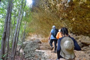 Foto de um grupo de pessoas caminhando em uma trilha natural, em direção a uma formação rochosa peculiar. A trilha é feita de degraus de pedra, que parecem ter sido esculpidos na própria rocha. À esquerda, há uma densa vegetação com árvores altas e finas, criando uma espécie de moldura natural para a cena. As pessoas na trilha estão de costas para a câmera. A primeira pessoa, que está mais próxima da câmera, usa uma camiseta laranja e calças pretas. A segunda pessoa, um pouco mais atrás, usa uma camiseta azul e calças pretas. Ambas carregam mochilas nas costas. A formação rochosa ao fundo possui uma textura única, com pequenas pedras arredondadas incrustadas na superfície. A cor da rocha varia entre tons de bege, marrom e amarelo, sugerindo a presença de minerais e a ação do tempo