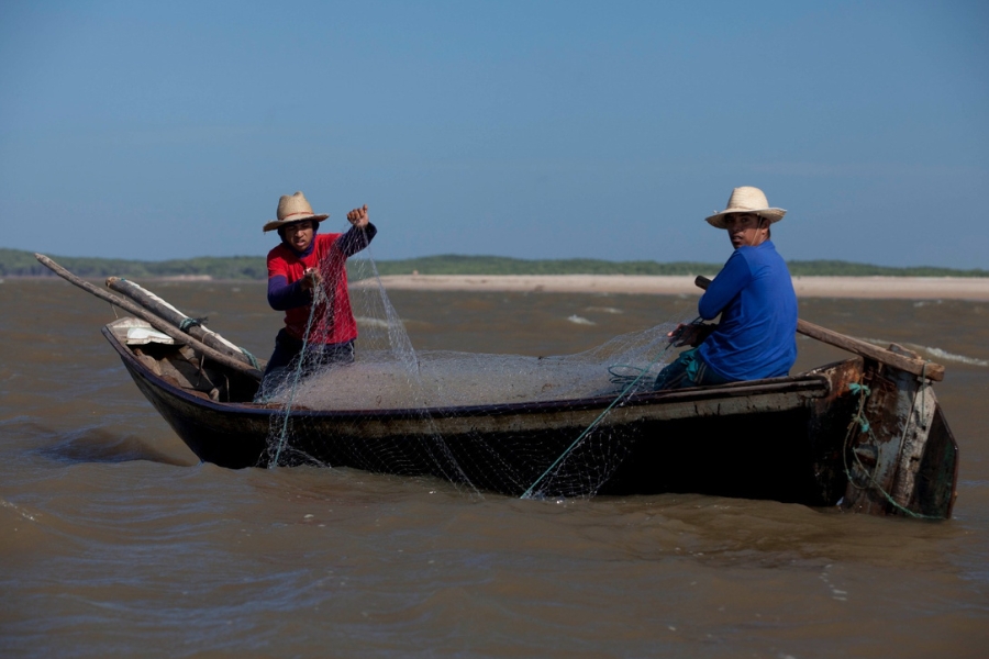 A imagem mostra dois pescadores em um pequeno barco de madeira sobre águas barrentas, no Delta do Parnaíba, no Piauí. Ambos vestem chapéus de palha para se proteger do sol. O pescador à esquerda, de camisa vermelha, está de pé, puxando uma rede de pesca molhada. O outro, com camisa azul, está sentado na parte traseira do barco, observando o trabalho do companheiro. Ao fundo, vê-se uma faixa de areia clara e uma vegetação rasteira sob um céu azul limpo. A cena retrata o cotidiano da pesca artesanal em uma paisagem natural e tranquila