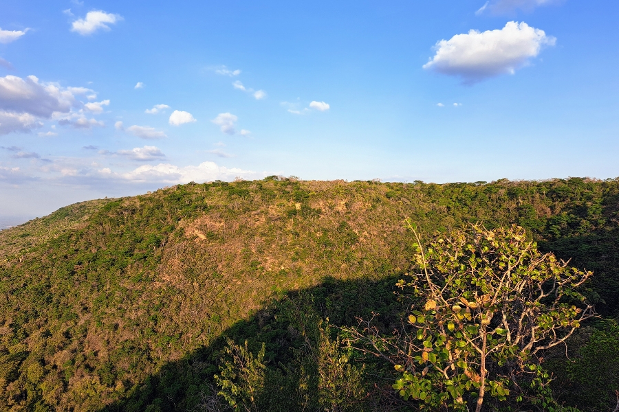 A foto é dominada por uma colina coberta por vegetação nativa da caatinga, com tons de verde e marrom, indicando áreas de vegetação mais densa e outras mais secas. O céu está limpo, em um tom azul claro, com poucas nuvens brancas espalhadas, iluminadas pela luz suave do sol poente. Em primeiro plano, à direita, há uma árvore com folhas verdes arredondadas, levemente iluminadas pelo sol. A sombra de outra parte da paisagem cobre parcialmente o canto inferior da imagem, sugerindo o relevo irregular da região