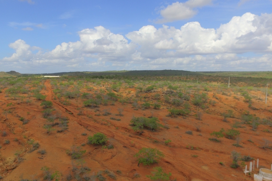 A foto mostra uma paisagem de solo avermelhado e seco, com marcas de erosão que formam sulcos no chão. A vegetação é escassa, composta por pequenos arbustos e plantas esparsas, típicas da caatinga. Ao fundo, o horizonte é marcado por uma faixa de vegetação mais densa e colinas baixas. O céu está parcialmente nublado, com grandes nuvens brancas contrastando com o azul