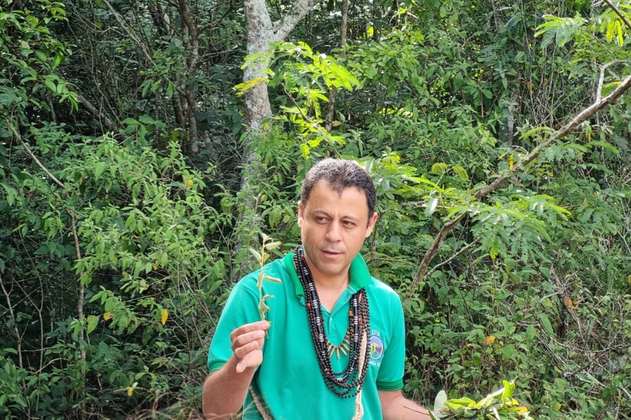 A foto mostra um homem de meia-idade, com cabelos curtos e escuros, vestindo uma camisa polo verde vibrante. Ele está em pé em um ambiente de floresta densa, com uma parede de folhagem verde-escura e espessa atrás dele. Seu rosto está voltado ligeiramente para a esquerda e sua expressão é séria e concentrada. Ele usa colares grandes e escuros, feitos de sementes ou miçangas, que contrastam com a cor da camisa. Em suas mãos, ele segura galhos e folhas de plantas, parecendo estar as examinando ou apresentando-as. A iluminação é natural e suave, filtrada pelas árvores