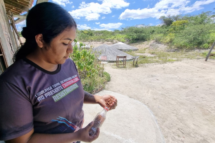 Foto de mulher de pele morena, com cabelo escuro preso, em um plano médio, focada em uma atividade com suas mãos. Ela veste uma camiseta escura com uma estampa em letras brancas e vermelhas. Com a mão direita ela segura uma garrafa plástica transparente, cheia de sementes que despeja na mão esquerda. A mulher está sob uma área coberta ou em uma varanda, visível pela sombra parcial e o pilar escuro no canto superior esquerdo. O fundo é um ambiente externo e rural, de terra batida clara, com uma estrutura cônica de telhado de palha ou sapê e outra de concreto (cisterna) logo atrás. Mais ao longe, há uma vegetação rasteira e arbustos verdes em uma paisagem de colina, sob um céu azul com nuvens brancas