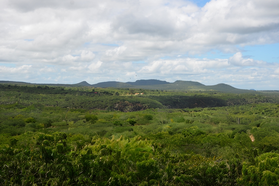 Esta é uma fotografia de paisagem tirada em um dia parcialmente nublado, mostrando uma vasta extensão de vegetação verde e exuberante, característica da Caatinga, um bioma tipicamente seco, mas aqui capturado em seu período de maior vitalidade. A imagem se estende por um terreno ligeiramente montanhoso. Em primeiro plano, a vegetação é densa e alta, parecendo quase uma floresta fechada. À medida que o olhar avança para o horizonte, a vegetação se torna mais arbustiva e dispersa, revelando a silhueta de morros arredondados e de baixa altitude, com seus picos sob um céu azul claro pontuado por grandes nuvens brancas e cinzentas. Quase ao centro da composição, sob a sombra de um dos morros, é possível distinguir um pequeno aglomerado de construções rústicas, indicando a presença humana na paisagem