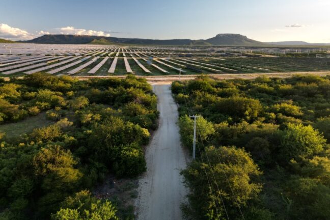 A imagem mostra uma paisagem do Semiárido nordestino vista de cima, onde uma estrada de terra corta a vegetação típica da Caatinga, composta por arbustos e árvores esparsas de tons verdes e amarelados. À frente, estende-se uma vasta usina solar, formada por fileiras organizadas de painéis fotovoltaicos que se perdem no horizonte. Ao fundo, surgem montanhas de topo plano sob um céu claro e ensolarado