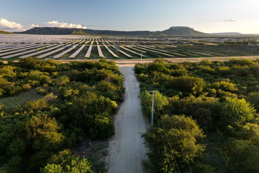 A imagem mostra uma paisagem do Semiárido nordestino vista de cima, onde uma estrada de terra corta a vegetação típica da Caatinga, composta por arbustos e árvores esparsas de tons verdes e amarelados. À frente, estende-se uma vasta usina solar, formada por fileiras organizadas de painéis fotovoltaicos que se perdem no horizonte. Ao fundo, surgem montanhas de topo plano sob um céu claro e ensolarado