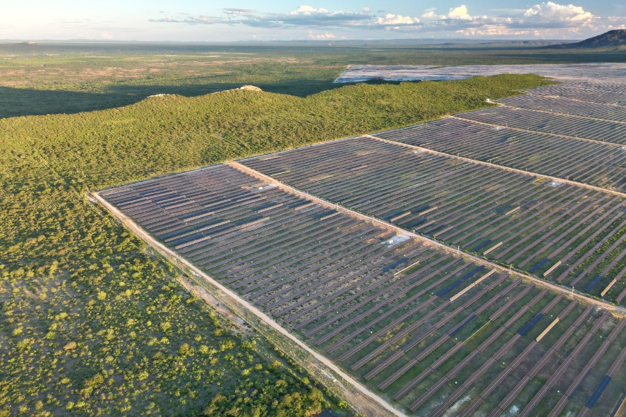 A foto aérea mostra uma imensa usina solar instalada em uma região de vegetação típica da Caatinga, no Nordeste brasileiro. No primeiro plano, veem-se fileiras longas e ordenadas de painéis solares que se estendem até o horizonte, formando grandes blocos geométricos. Ao redor e entre as áreas ocupadas pelos painéis, há extensas manchas de vegetação verde e arbustiva, com pequenas elevações e serras ao fundo. O céu está claro, com algumas nuvens brancas e iluminação suave de fim de tarde