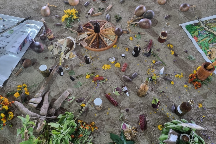 A foto, capturada de cima, exibe uma disposição de itens sobre uma superfície de terra ou areia de cor bege-acizentada, lembrando um altar ou uma exposição. Os objetos são predominantemente produtos naturais, sementes, raízes e artefatos culturais. No centro, destaca-se uma bandeja de madeira redonda, dividida em compartimentos triangulares, contendo diversas sementes e grãos de cores e tamanhos variados, com uma garrafa escura no meio. Ao redor, estão espalhados espigas de milho de cor vermelha (milho crioulo), raízes de mandioca (aipim), pequenas garrafas e frascos de vidro com líquidos escuros ou óleos, sementes grandes e escuras, e flores amarelas e laranjas. Há também elementos como uma moringa de cerâmica, um pilão de madeira, um saco plástico branco com textos e caixas de papelão, e um pedaço de tecido ou papel com uma ilustração colorida no canto superior direito. A composição geral é rica em texturas e cores terrosas, sugerindo um foco em medicina tradicional, agricultura familiar e saberes ancestrais