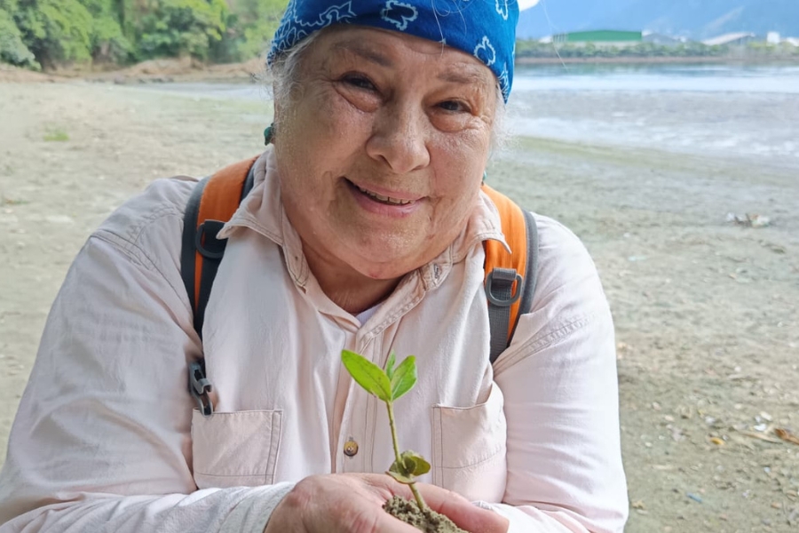 A fotografia em plano médio captura uma mulher idosa de pele clara, com um sorriso gentil e olhos fixos na câmera, em um ambiente de praia ou manguezal. Ela usa um lenço azul estampado na cabeça, uma camisa de manga longa de cor pêssego claro, e uma mochila laranja nas costas. A mulher segura delicadamente nas mãos, com terra, uma pequena muda de planta verde com algumas folhas, que parece ser um propágulo de mangue, estendendo-o ligeiramente para a frente. O fundo está desfocado, mostrando uma paisagem costeira com areia clara ou lamaçal, uma faixa de água, e, mais distante, montanhas ou elevações cobertas de vegetação sob um céu claro