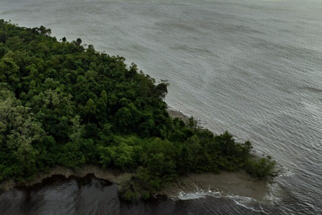 A imagem mostra a foz de um grande rio amazônico encontrando o mar. No primeiro plano, há uma faixa de floresta densa e verde escuro, com árvores altas e copas fechadas que se estendem até a margem. A vegetação contrasta com a imensidão das águas, que ocupam boa parte da foto e têm tons acinzentados, com pequenas ondulações na superfície. A cena, vista de cima, revela o ponto em que o rio se mistura com o oceano