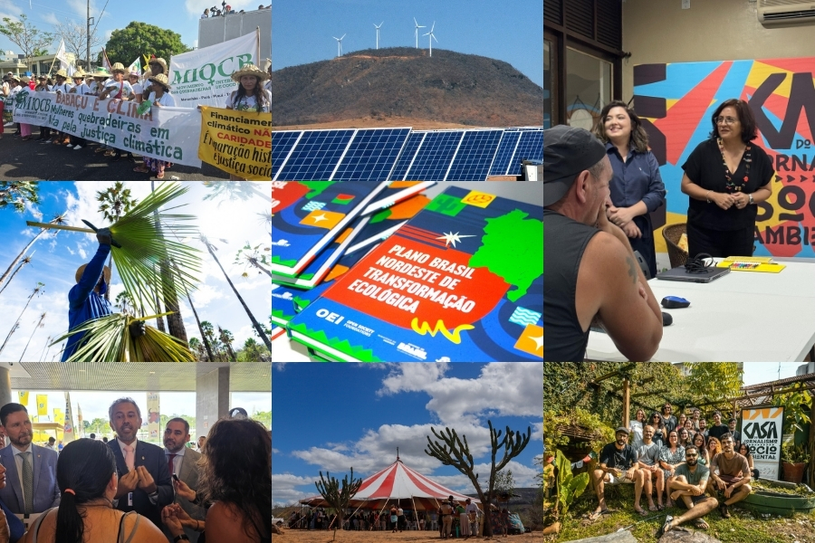 Esta é uma colagem composta por nove fotografias dispostas em uma grade de três por três, que retrata temas de ativismo ambiental, energia renovável e cultura no Nordeste brasileiro. As imagens mostram, em sequência: um protesto de mulheres do Movimento Interestadual das Quebradeiras de Coco de Babaçu (MIQCB) com faixas sobre justiça climática; uma paisagem com painéis solares em primeiro plano e turbinas eólicas sobre um morro ao fundo; duas mulheres conversando em um evento institucional; um trabalhador rural manuseando palhas de palmeira contra o céu azul; pilhas de livros intitulados "Plano Brasil Nordeste de Transformação Ecológica"; um homem de terno falando com jornalistas; uma grande tenda de circo montada em uma área árida com cactos; e uma foto em grupo de aproximadamente quinze pessoas sorrindo em um ambiente externo arborizado