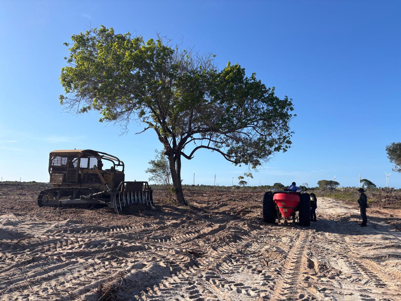 A fotografia, capturada sob um céu azul sem nuvens, registra o rastro de desmatamento em uma área de solo arenoso e claro, marcado por sulcos profundos de pneus e esteiras. No centro da composição, resta apenas uma árvore de médio porte com folhagem verde, que projeta uma sombra sobre a terra batida. À esquerda da árvore, está estacionado um trator de esteira (dozer) antigo e desgastado, equipado com uma lâmina frontal de dentes metálicos para remoção de vegetação. À direita, um trator vermelho de menor porte é operado por uma pessoa, enquanto outros dois indivíduos, um deles vestindo uniforme que lembra o de um agente ambiental ou policial, observam a área. Ao fundo, no horizonte plano, é possível avistar as silhuetas brancas de várias torres de energia eólica