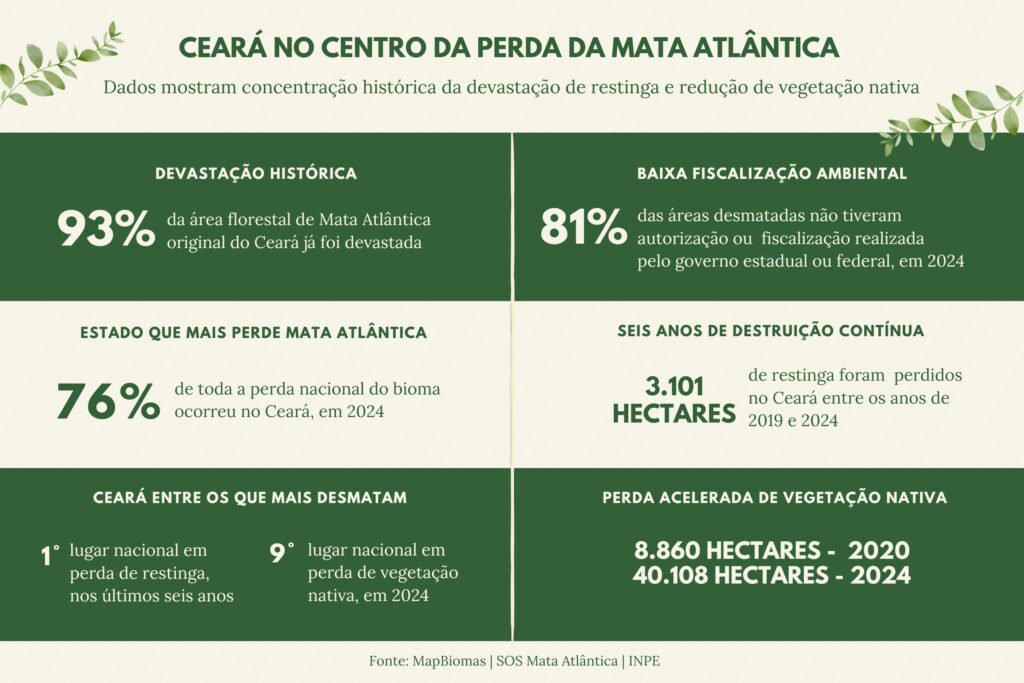 Este infográfico, intitulado "Ceará no centro da perda da Mata Atlântica", apresenta dados sobre o desmatamento da Mata Atlântica no Ceará. Organizado em seis blocos informativos sobre um fundo de tons verdes decorado com folhas nas bordas, o documento destaca que 93% da área original de Mata Atlântica no Ceará já foi devastada e que o Estado concentrou 76% de toda a perda nacional desse bioma em 2024. Os dados revelam ainda uma baixa fiscalização, com 81% das áreas desmatadas sem autorização ou vistoria governamental em 2024, resultando na perda de 3.101 hectares de restinga entre 2019 e 2024. O Ceará ocupa o 1º lugar nacional em perda de restinga nos últimos seis anos e o 9º em perda de vegetação nativa em 2024, evidenciando uma aceleração drástica no desmatamento, que saltou de 8.860 hectares em 2020 para 40.108 hectares em 2024