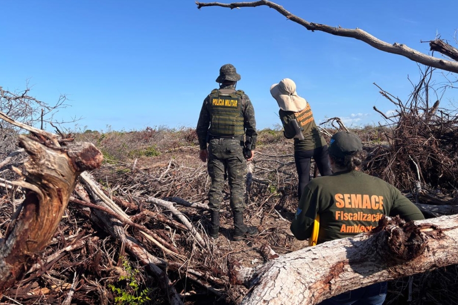 Esta fotografia, registrada sob um céu azul e limpo, mostra três agentes de fiscalização de costas, observando uma vasta área de vegetação nativa recém-derrubada. No centro, um policial militar veste uniforme camuflado, colete balístico com a inscrição "POLÍCIA MILITAR" em amarelo e um chapéu de aba larga. Ao seu lado e à frente, duas agentes da SEMACE (Superintendência Estadual do Meio Ambiente do Ceará) vestem camisas verde-oliva com a frase "SEMACE Fiscalização Ambiental" estampada em laranja nas costas. O cenário é de devastação: o solo está coberto por um emaranhado de galhos secos, troncos de árvores cortados e raízes expostas que se estendem até o horizonte, evidenciando o impacto do desmatamento na região