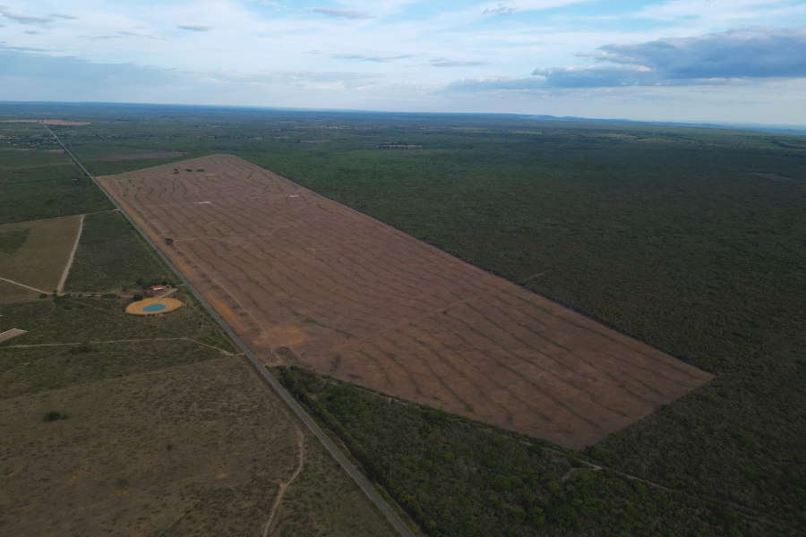 Esta fotografia aérea captura o contraste impactante entre a vegetação nativa preservada e o desmatamento. A imagem exibe uma vasta extensão de mata verde e densa que é subitamente interrompida por um grande polígono geométrico de terra nua, de cor marrom acinzentada, onde a vegetação foi completamente removida. No solo desmatado, é possível ver marcas paralelas deixadas por maquinário agrícola. Uma estrada estreita e reta corta a paisagem diagonalmente, passando ao lado de uma pequena propriedade com uma casa de telhado vermelho e um pequeno reservatório de água circular. O céu ao fundo está nublado com tons suaves de azul e cinza
