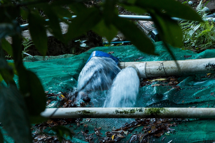 Esta imagem, capturada em plano detalhe, mostra um ponto de captação de água improvisado em meio a uma área de mata. Sobre um solo coberto por uma tela plástica verde e folhas secas, dois grandes canos de PVC brancos despejam água com força. O cano à direita possui uma conexão em "T" que libera um jato volumoso de água cristalina diretamente para baixo, enquanto o cano ao lado, parcialmente coberto por um plástico azul, também verte água de forma contínua. A cena é emoldurada por folhagens verdes escuras em primeiro plano e ao fundo, com a luz filtrada pela vegetação criando um ambiente sombreado. A imagem ilustra de forma clara o desperdício ou a captação desordenada de água em fontes naturais, reforçando o cenário de conflito e falta de manejo hídrico adequado.