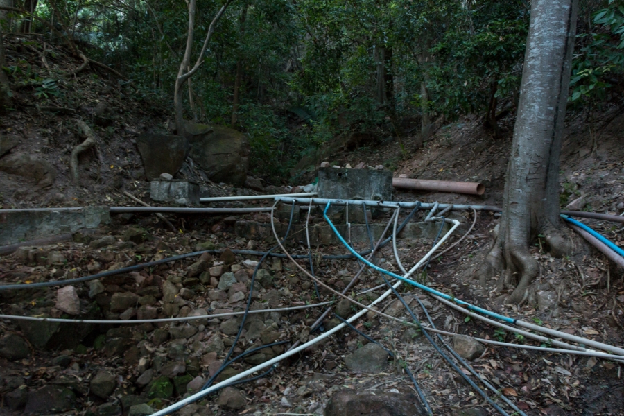 A imagem apresenta uma cena de impacto visual que retrata a disputa e a gestão precária de recursos hídricos em uma área de mata fechada. Em um terreno íngreme e rochoso, uma pequena caixa d'água de alvenaria cinza atua como ponto central de onde emergem dezenas de mangueiras e canos de PVC de diferentes cores (azul, branco, preto e marrom) e espessuras. Essas tubulações se cruzam de forma desordenada pelo solo coberto de pedras, folhas secas e raízes expostas de árvores de grande porte, ramificando-se em várias direções para levar água a diferentes propriedades. A iluminação é de penumbra, típica de vegetação densa, e a composição revela a complexidade e a urgência do acesso à água em regiões onde a infraestrutura coletiva é substituída por soluções individuais improvisadas.
