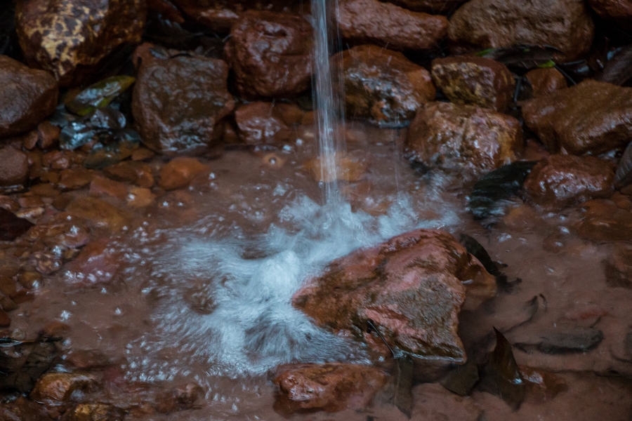 Esta fotografia detalha o ponto exato de uma nascente ou queda d'água natural em uma área de solo pedregoso. Um filete vertical de água cristalina cai com força constante sobre uma rocha avermelhada, criando uma pequena zona de turbulência branca e borbulhante ao atingir a superfície. O entorno é composto por diversas pedras de tamanhos variados, em tons de marrom e ocre, que estão úmidas e escuras pela proximidade com a água. Algumas folhas secas e detritos orgânicos estão espalhados entre as pedras, indicando um ambiente preservado de mata. A imagem transmite uma sensação de frescor e pureza, destacando a beleza e a importância das fontes naturais de água doce no ecossistema.