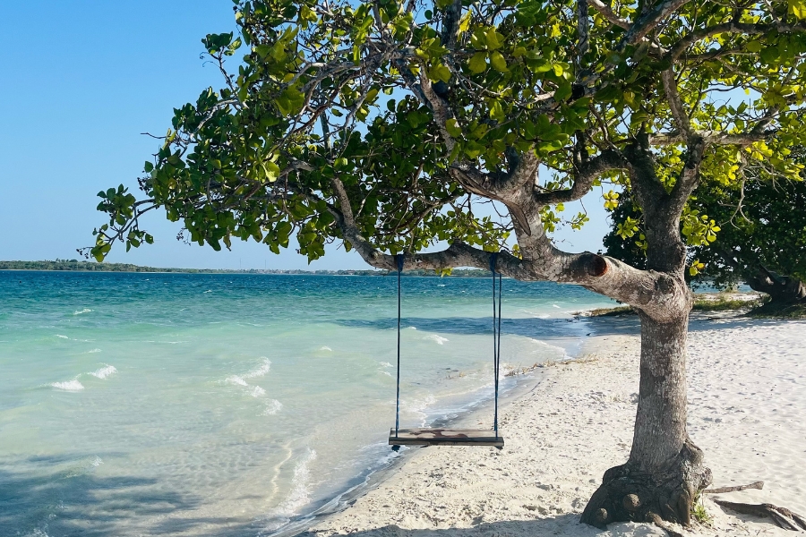 Esta foto horizontal retrata uma cena paradisíaca à beira de uma lagoa. No lado direito, o tronco robusto de uma árvore frondosa se inclina em direção à água, estendendo seus galhos carregados de folhas verdes sobre a areia branca e fina. Um balanço de madeira, suspenso por cordas azuis, pende de um desses galhos, posicionado sobre a areia onde a água começa a tocar a margem. A lagoa apresenta um degradê de cores, indo do azul turquesa raso e cristalino perto da areia até um azul mais profundo ao fundo, sob um céu limpo e brilhante