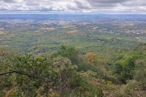 Esta fotografia apresenta uma vasta paisagem panorâmica capturada do alto. Em primeiro plano, no canto inferior, há uma vegetação densa e variada com folhas verdes, alguns galhos secos e uma árvore com tons alaranjados, sugerindo a transição de estações. O plano médio revela um extenso tapete de floresta verde-escura que se estende até o horizonte, pontuado ocasionalmente por pequenas áreas de solo descoberto e aglomerados urbanos distantes. Ao fundo, o relevo torna-se plano, encontrando um céu dominado por nuvens brancas e cinzentas pesadas, que filtram a luz solar de forma suave sobre todo o cenário natural