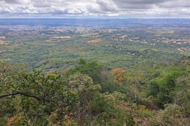 Esta fotografia apresenta uma vasta paisagem panorâmica capturada do alto. Em primeiro plano, no canto inferior, há uma vegetação densa e variada com folhas verdes, alguns galhos secos e uma árvore com tons alaranjados, sugerindo a transição de estações. O plano médio revela um extenso tapete de floresta verde-escura que se estende até o horizonte, pontuado ocasionalmente por pequenas áreas de solo descoberto e aglomerados urbanos distantes. Ao fundo, o relevo torna-se plano, encontrando um céu dominado por nuvens brancas e cinzentas pesadas, que filtram a luz solar de forma suave sobre todo o cenário natural