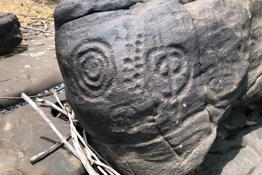 Esta imagem detalha um importante registro arqueológico no Cânion do Rio Poti, apresentando itacoatiaras (gravuras rupestres) esculpidas em uma grande rocha escura e desgastada pelo tempo. O registro exibe formas geométricas intrigantes, com destaque para uma espiral concêntrica bem definida à esquerda e uma figura circular com divisões internas à direita, separadas por uma linha vertical de pequenas escavações pontilhadas. A textura bruta da pedra, cercada por galhos secos e sedimentos no solo, ressalta a antiguidade desses vestígios deixados por populações ancestrais, transformando o leito do rio em um autêntico museu a céu aberto que mescla história humana e geologia.