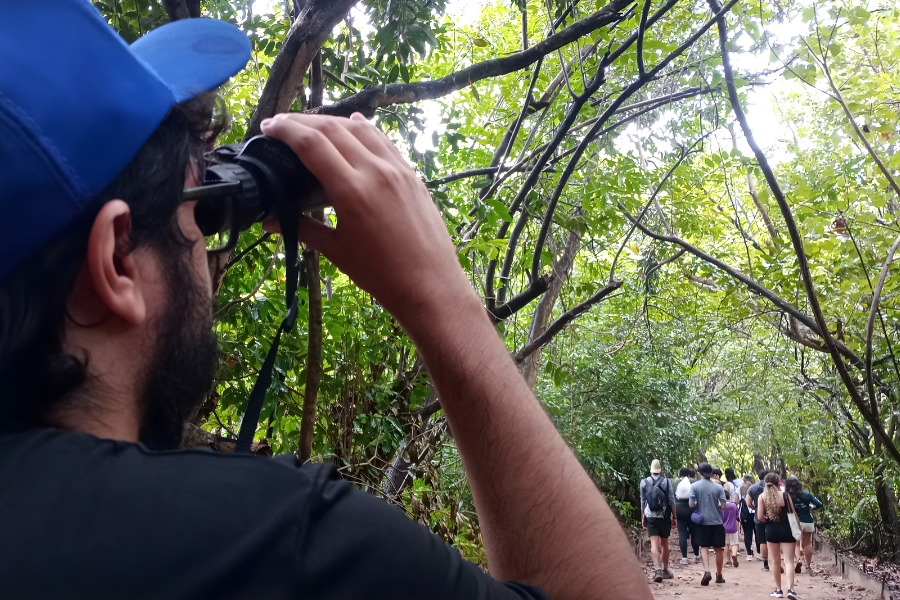 A imagem apresenta um homem em primeiro plano, visto de perfil e de costas, utilizando binóculos para observar a natureza em um ambiente de mata densa. Ele veste uma camiseta preta e um boné azul, concentrando sua visão na copa das árvores à frente. Ao fundo, uma trilha de terra se estende por entre a vegetação, onde um grupo de pessoas caminha sob a sombra das árvores, sugerindo uma atividade de ecoturismo ou observação de pássaros. A iluminação natural filtra-se pelas folhas verdes, criando um cenário tranquilo e imersivo ao ar livre.