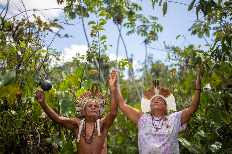 A imagem apresenta dois integrantes do povo indígena Tremembé em um momento de profunda conexão espiritual e celebração em meio a uma vegetação densa e ensolarada. À esquerda, um homem mais velho, de tronco nu e adornado com colares típicos, segura um maracá (chocalho) em uma das mãos; à direita, uma mulher com uma veste floral mantém os olhos fechados em um semblante de serenidade. Ambos estão de pé, usando cocares de penas imponentes e com os braços erguidos, unindo as mãos ao centro em um gesto de união e força. O ângulo da foto, de baixo para cima, destaca as figuras contra o céu azul e a folhagem verde, transmitindo uma sensação de resistência, ancestralidade e harmonia com a natureza.