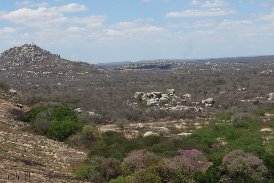 Vista panorâmica de uma paisagem de Caatinga com solo descampado e vegetação arbustiva cinzenta. Há grandes aglomerados de rochas claras espalhados pelo terreno e uma colina rochosa mais alta se destaca à esquerda.