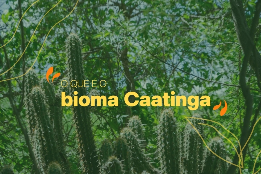 A imagem apresenta um card informativo com o título "O QUE É O bioma Caatinga" em destaque no centro, utilizando letras amarelas e brancas. O plano de fundo é uma fotografia de vegetação densa e verde, com foco em cactos colunares espinhosos típicos da região, sob uma luz solar filtrada. A composição visual é decorada com elementos gráficos em tons de laranja e amarelo, como aspas estilizadas e desenhos lineares de folhas e ondas, tudo sob um filtro esverdeado que confere unidade estética ao design educativo.