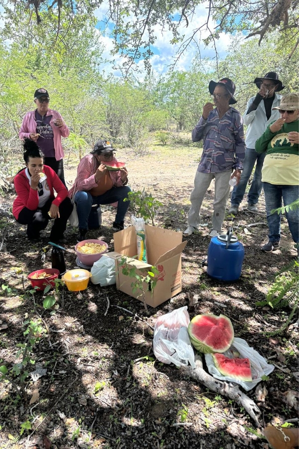 Grupo de sete pessoas reunido à sombra das árvores em momento de descanso, comendo fatias de melancia em um piquenique improvisado no chão.