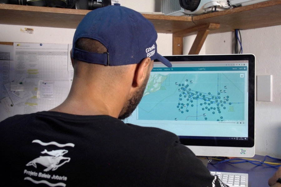 Pesquisador usa o site Happywhale, que mostra o mapa do continente americano pontuado por círculos azuis e vermelhos, indicando locais de avistamento de baleias