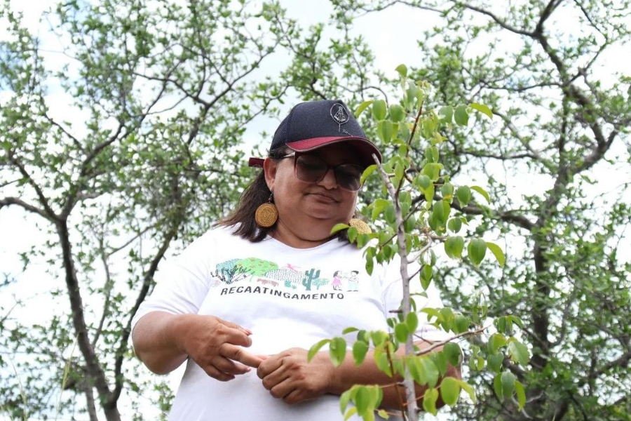 Mulher de óculos escuros, boné e camiseta escrita "Recaatingamento" observa de perto as folhas verdes de um arbusto jovem com árvores ao fundo.
