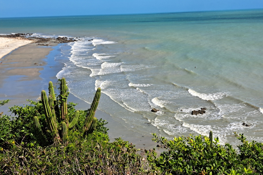Vista aérea de uma praia com ondas suaves. Em primeiro plano, vegetação verde com mandacarus destaca-se contra o mar esverdeado.
