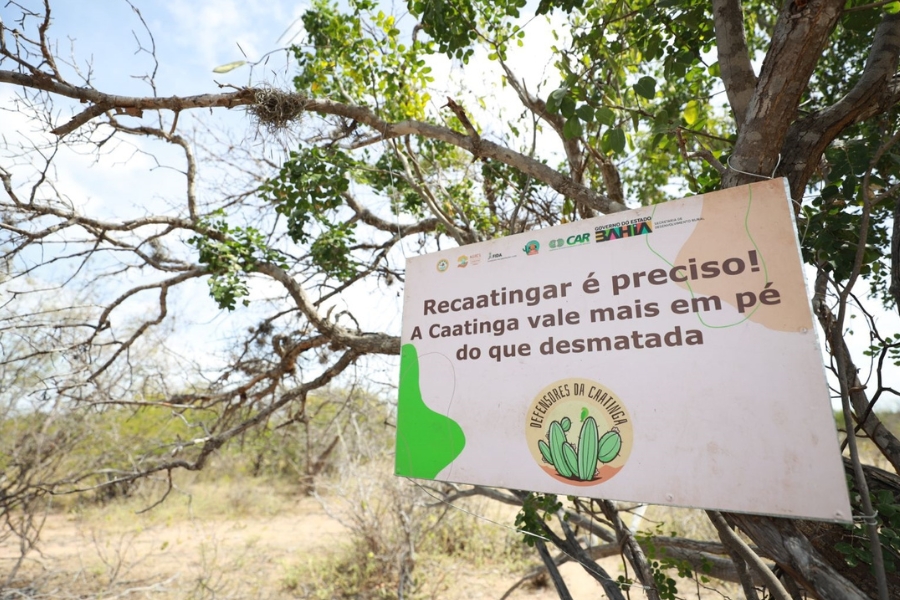 Placa fixada em galhos de uma árvore com o texto "Recaatingar é preciso! A Caatinga vale mais em pé do que desmatada". A placa traz logotipos institucionais e um selo redondo com ilustração de cactos.