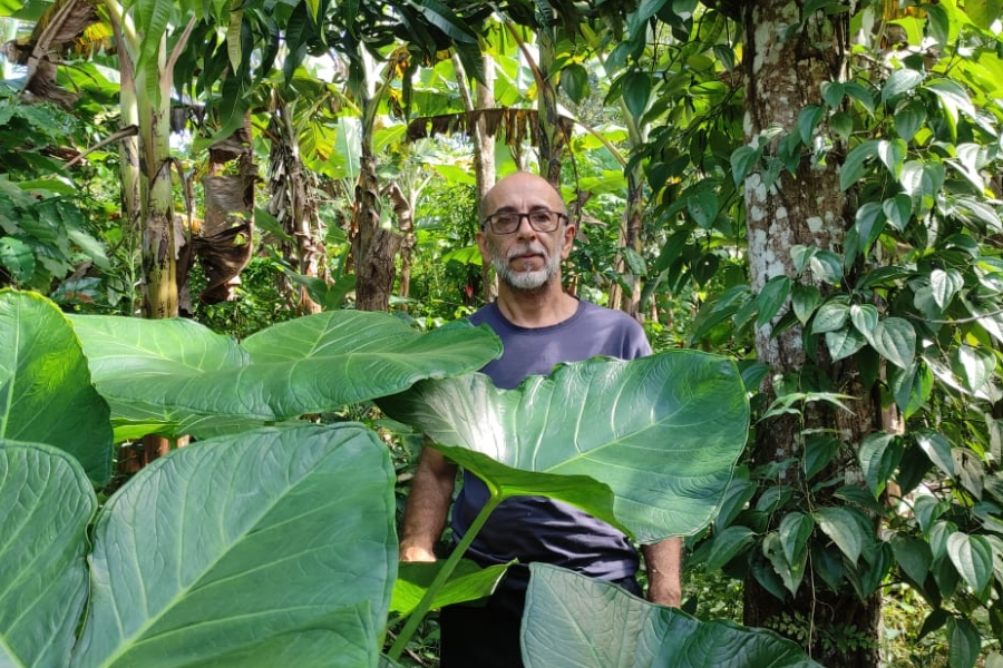 Um homem de óculos e barba rala surge em meio a uma vegetação densa, cercado por grandes folhas verdes em primeiro plano e troncos ao fundo.