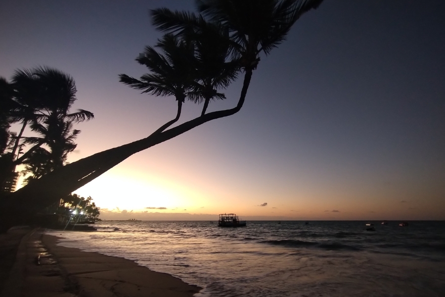 Silhuetas de coqueiros inclinados sobre uma praia ao amanhecer ou entardecer. O mar tem ondas mansas e uma embarcação está distante na água sob o céu degradê.