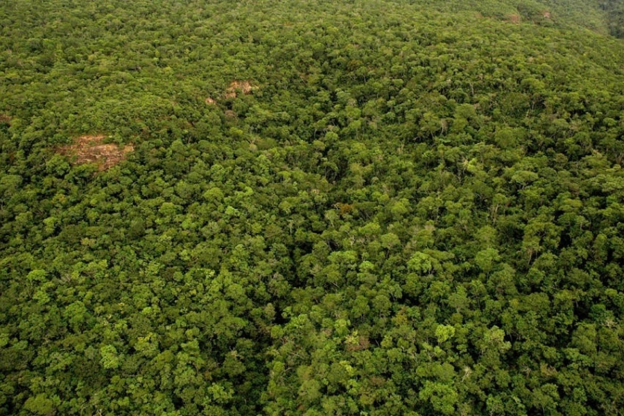 Vista aérea de uma vasta e contínua floresta tropical com vegetação densa e copas de árvores verdes, apresentando algumas pequenas falhas naturais com solo rochoso exposto