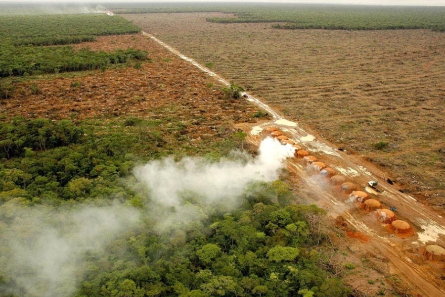 Foto aérea exibe uma longa estrada de terra que divide uma floresta preservada de uma área desmatada, onde se vê fumaça branca saindo de uma fileira de fornos circulares de carvão.
