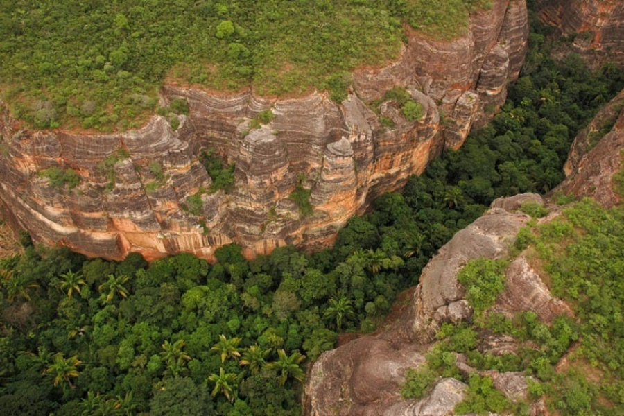 Vista aérea de um cânion profundo com imponentes paredões de rocha sedimentar estratificada em tons de marrom e laranja, cercados por uma densa floresta verde no fundo e no topo