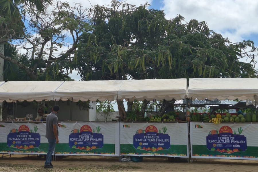 Bancas de lona branca da feira da agricultura familiar expõem frutas e hortaliças sob grandes árvores ao ar livre.