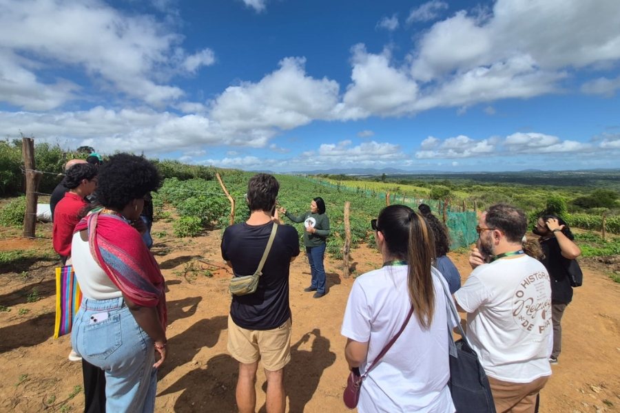 Grupo de visitantes ao ar livre observa uma mulher que faz explicações em frente a um plantio de macaxeira.
