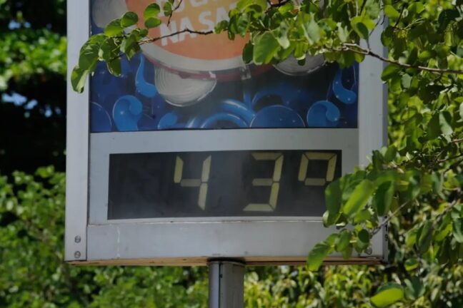 ermômetro de rua digital registrando a temperatura de 43 °C, parcialmente enquadrado entre folhas de árvores.