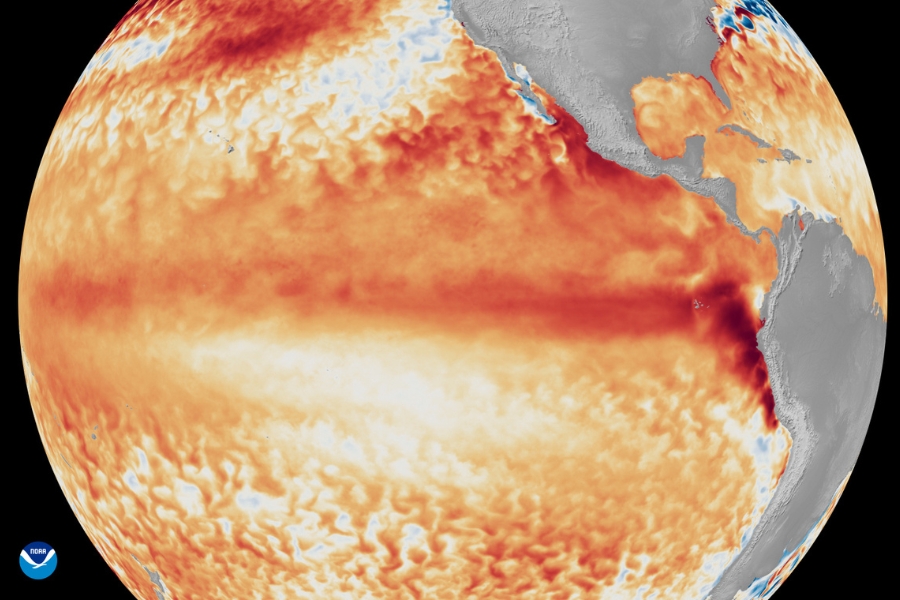 Globo terrestre focado no Oceano Pacífico e Américas, exibindo dados de temperatura da superfície marítima. Tons intensos de vermelho e laranja dominam a faixa equatorial e a costa oeste da América do Sul, indicando aquecimento acentuado. O logotipo da NOAA aparece no canto inferior esquerdo.