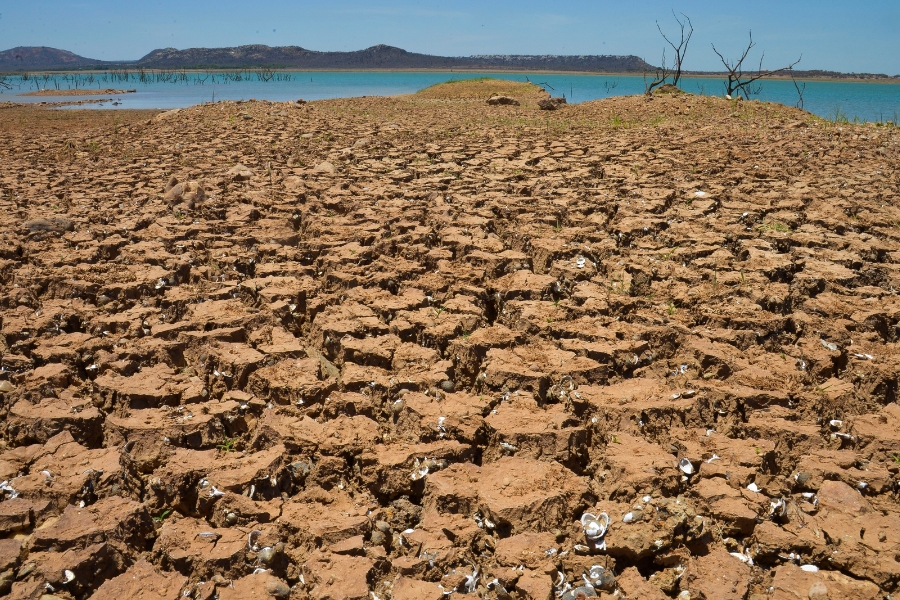 Fotografia de uma vasta extensão de solo argiloso, seco e profundamente rachado em primeiro plano. Pequenas conchas brancas estão incrustadas nas fendas da terra ressecada. Ao fundo, vê-se a linha d'água de um reservatório azul, margens distantes e morros sob um céu claro.