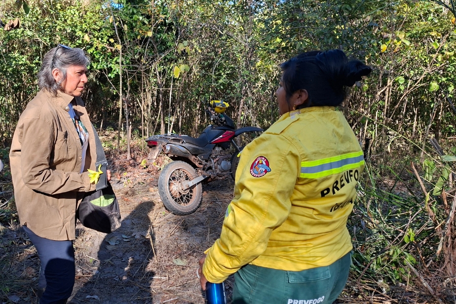 Fotografia em enquadramento horizontal ao ar livre mostra duas mulheres conversando em um caminho de terra cercado por vegetação densa e arbustiva. No lado esquerdo, em perfil, está uma mulher de pele clara e cabelos grisalhos curtos com óculos de sol apoiados sobre a cabeça; ela veste uma camisa marrom de mangas compridas, calça escura e carrega uma bolsa tiracolo preta no ombro esquerdo. À direita, vista de costas e levemente de perfil, está uma mulher de pele indígena ou morena com o cabelo escuro preso em um coque alto. Ela veste a farda do Prevfogo/Ibama, composta por uma jaqueta amarela com faixas reflexivas, um emblema no braço e a inscrição "PREVFOGO" nas costas, além de calça verde-escura. Ao fundo, entre as duas e estacionada no caminho de terra batida, vê-se uma motocicleta preta com detalhes vermelhos e um capacete amarelo apoiado no guidão, sob a iluminação forte do sol