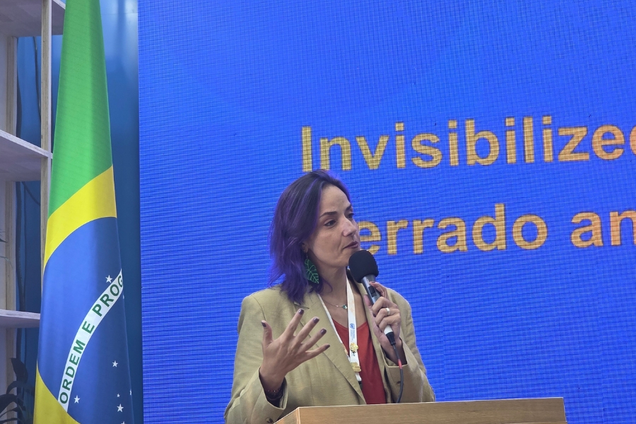 Fotografia, em plano médio, de uma mulher de pele clara e cabelos roxos curtos, em pé atrás de um púlpito de madeira enquanto se pronuncia em um evento. Ela segura um microfone com a mão esquerda perto do rosto e gesticula com a mão direita espalmada para cima. Veste um blazer bege sobre uma blusa avermelhada, usa brincos verdes em formato de folha e carrega um crachá no pescoço. À esquerda, em primeiro plano, destaca-se a bandeira do Brasil na vertical, exibindo o círculo azul com a faixa "ORDEM E PROGRESSO". O fundo é composto por um grande painel digital azul brilhante com palavras escritas em letras amarelas e brancas, das quais se lê claramente "Invisibilize..." e "errado an..."