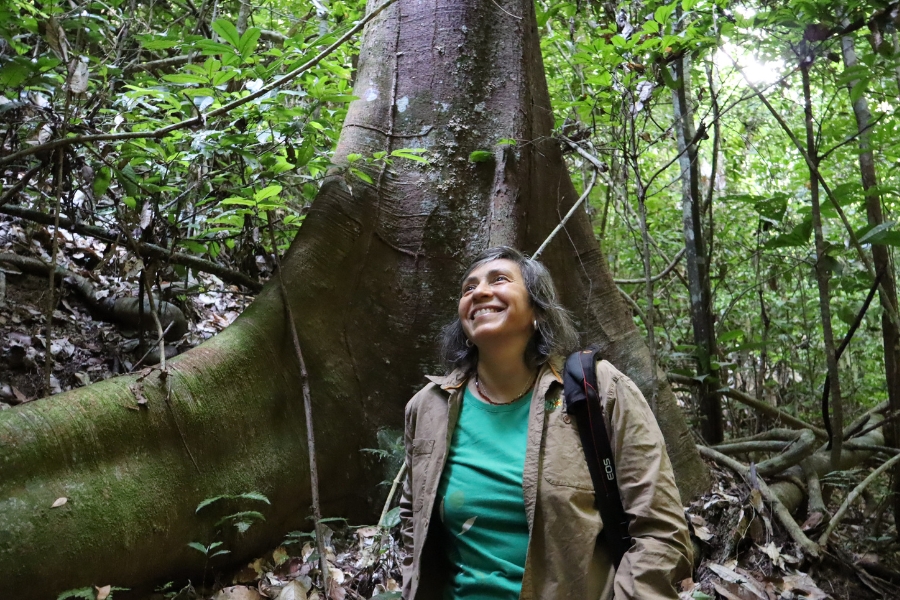 Esta foto de plano médio horizontal, colorida, de ângulo ligeiramente de baixo para cima, mostra uma mulher de pele morena, com cabelos grisalhos na altura dos ombros, em uma floresta tropical, olhando para cima e para a direita com um sorriso. Ela está no meio da imagem e usa uma jaqueta marrom aberta, por cima de uma camiseta verde, e um colar de miçangas vermelhas ao redor do pescoço, com uma alça de câmera preta visível no ombro esquerdo. Ela é ladeada pelo tronco largo de uma grande árvore, de casca escura, coberta de musgo. No plano de fundo, uma floresta densa de árvores, trepadeiras e folhas é vista, com a luz do sol brilhando através das copas das árvores no canto superior direito. O chão da floresta é coberto de folhas marrons e galhos entrelaçados