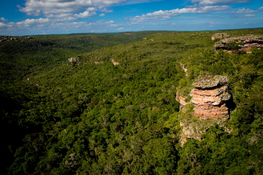 Fotografia panorâmica em vista aérea de um vale vasto e denso de vegetação verde intensa. No canto direito da imagem, destaca-se um paredão rochoso e elevado em tons avermelhados e alaranjados, com topo achatado coberto por plantas. A vegetação contínua se estende pelas encostas suaves até o horizonte sob um céu azul vibrante, pontilhado por nuvens brancas e esparsas